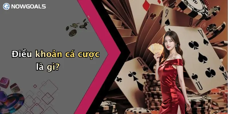 Điều khoản cá cược là gì?