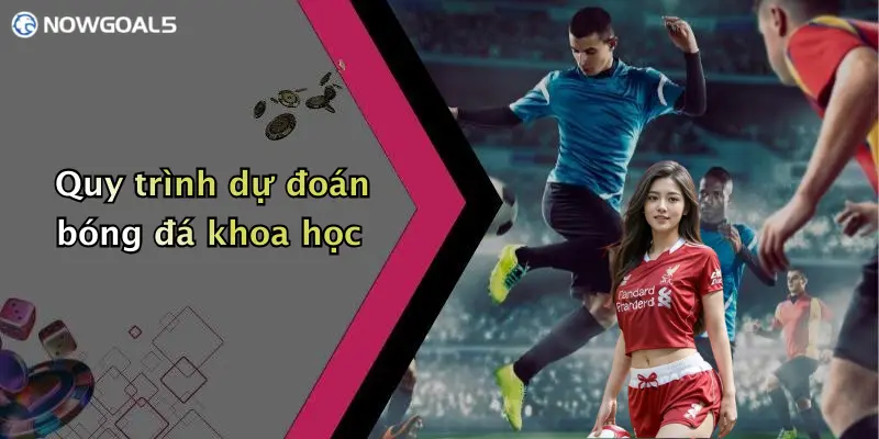 Quy trình dự đoán bóng đá khoa học