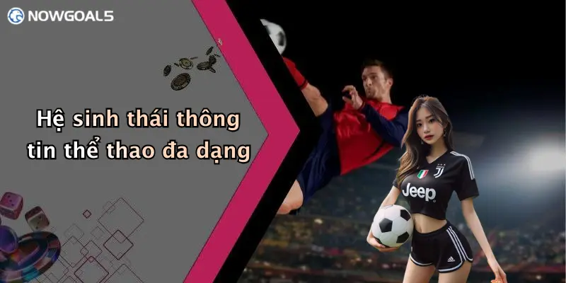 Hệ sinh thái thông tin thể thao đa dạng