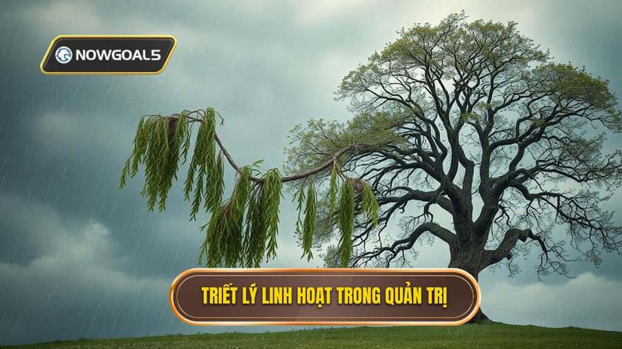 Triết lý cốt lõi: Sự linh hoạt thay vì sự cứng nhắc