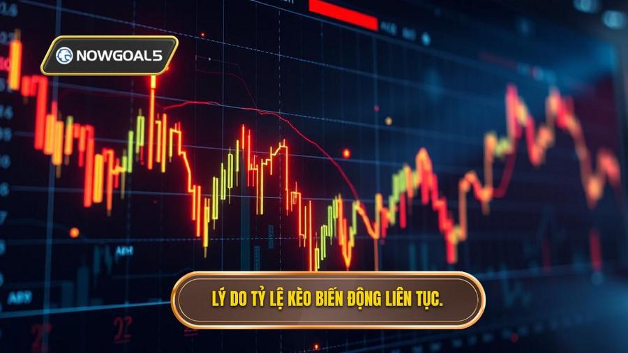 Tại sao tỷ lệ kèo biến động liên tục?